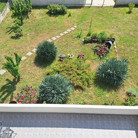 Glavan 4 كوسترينا